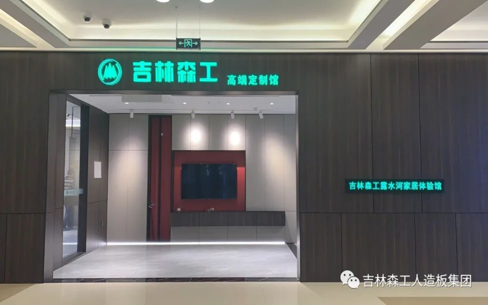 SG·亚洲胜游全屋定制专卖店---2022火热招商