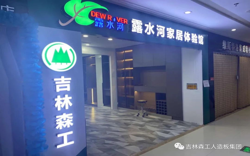 SG·亚洲胜游全屋定制专卖店---2022火热招商