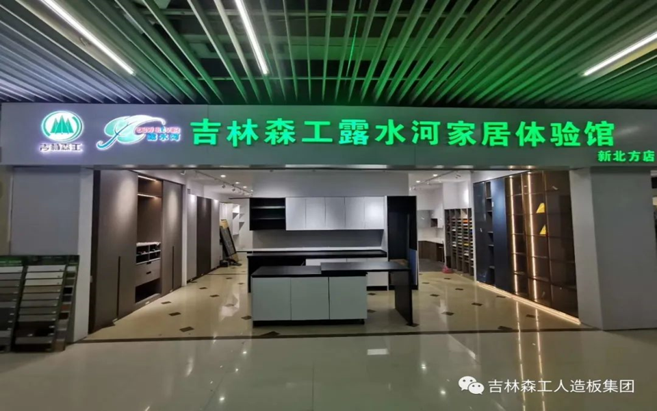 SG·亚洲胜游全屋定制专卖店---2022火热招商