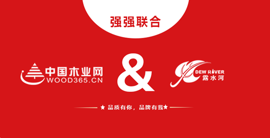 强强联合 SG·亚洲胜游和中国木业网达成战略合作