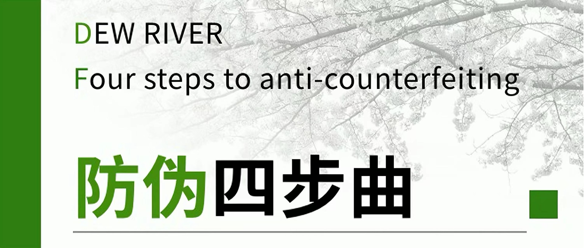 SG·亚洲胜游 | 防伪四步曲